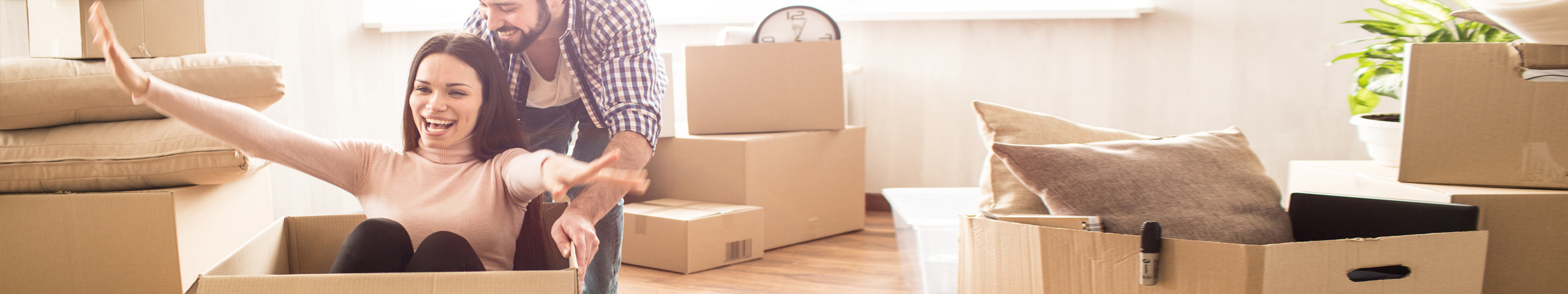 RVL Immobilien